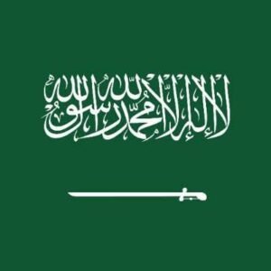 البرامج الحكومية لدعم المشاريع